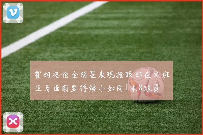 霍姆格伦全明星表现抢眼却在文班亚马面前显得矮小如同1米8球员